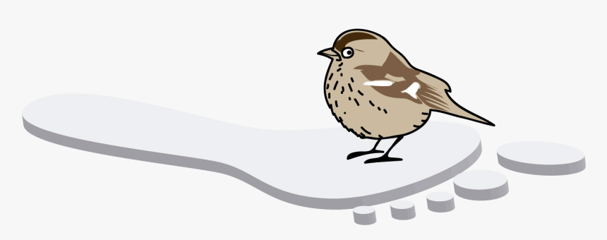Huella Ecológica Png, Transparent Png