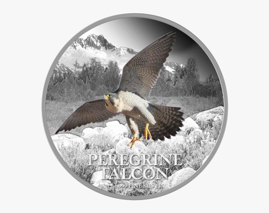 Niue 2013 2$ Peregrine Falcon Birds Of Prey Proof Silver - Silver, HD Png Download