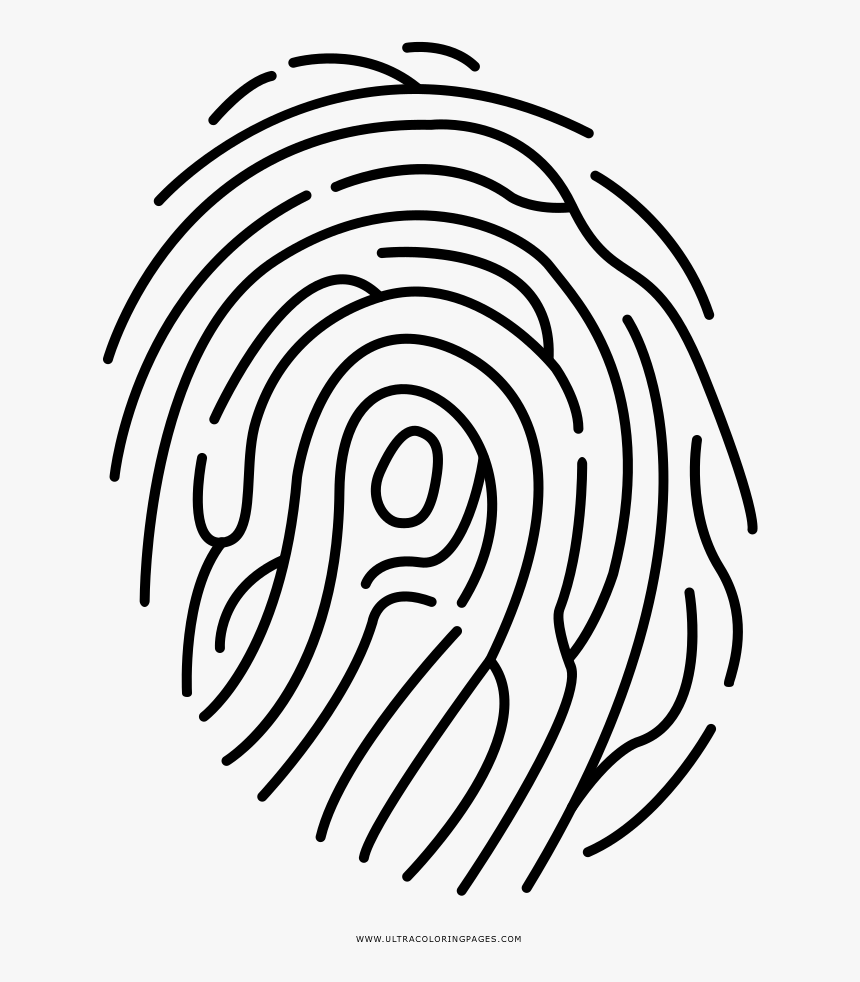 Fingerprint Coloring Page - Huella Dactilar Para Dibujar, HD Png Download