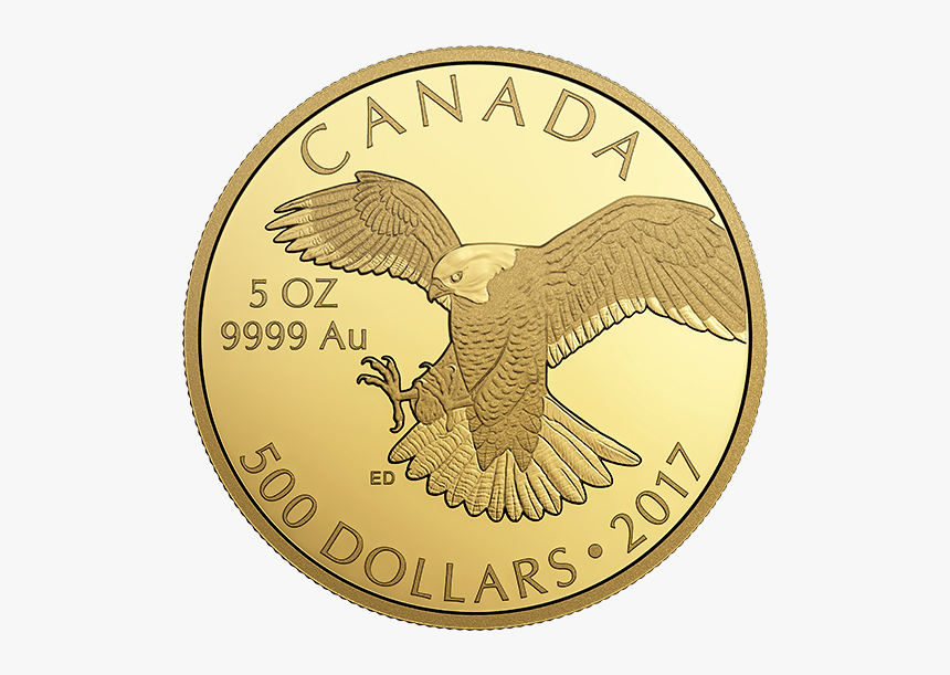 Canadian 5 Dollar Gold Coins, HD Png Download