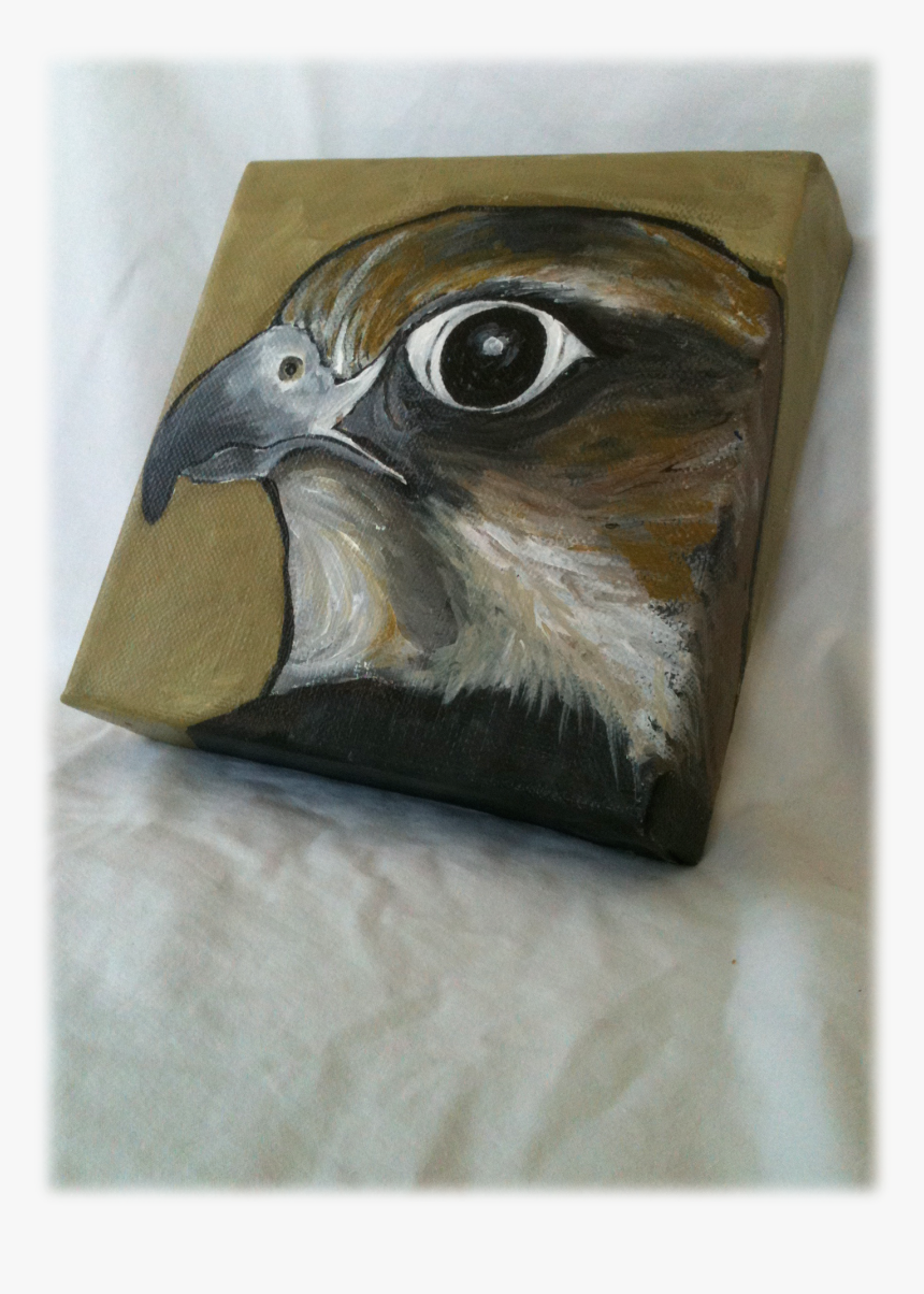 Hawk, HD Png Download