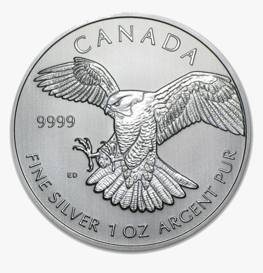 Canada Bird Of Prey Series, HD Png Download