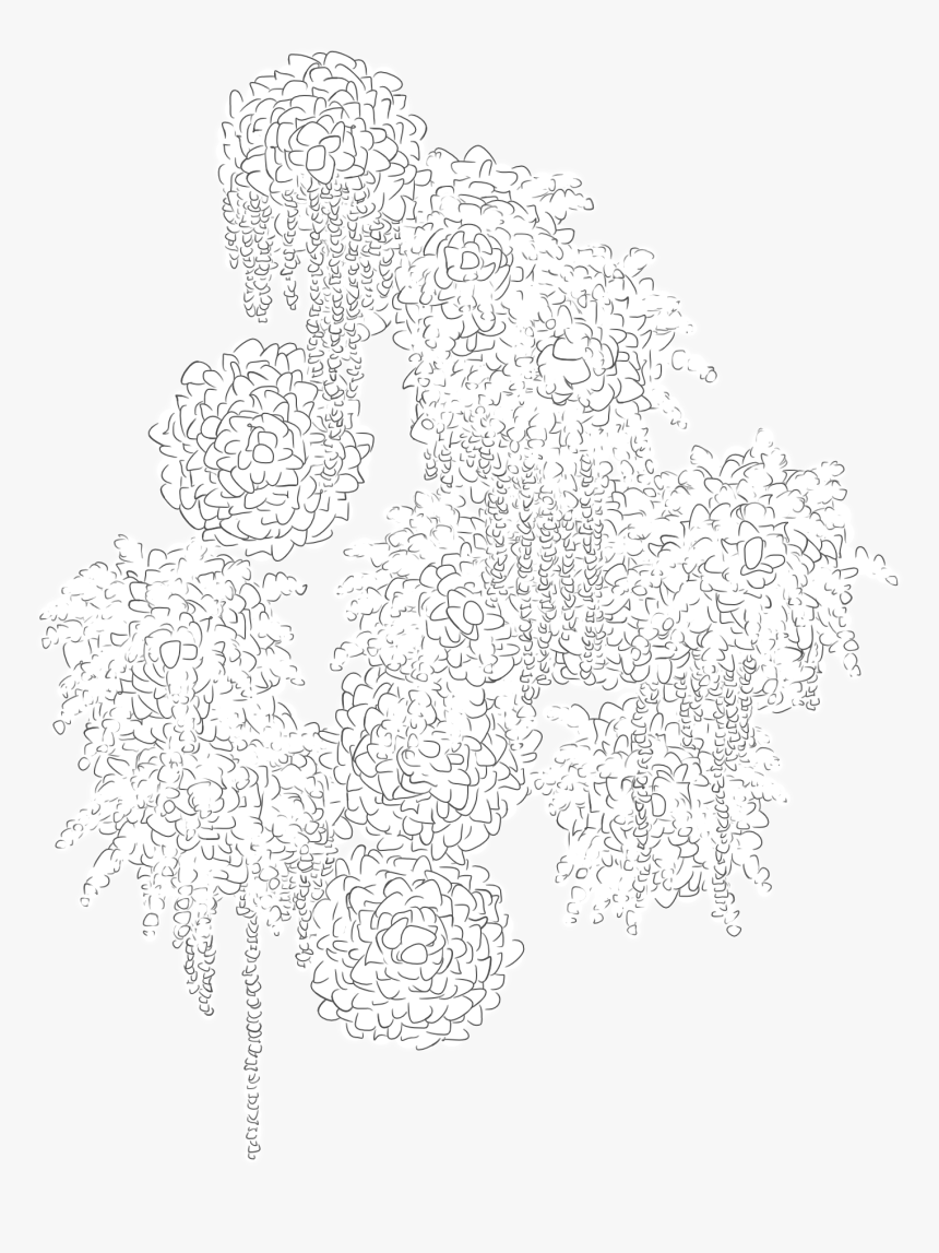 Transparent Pen Stroke Png - Illustration, Png Download