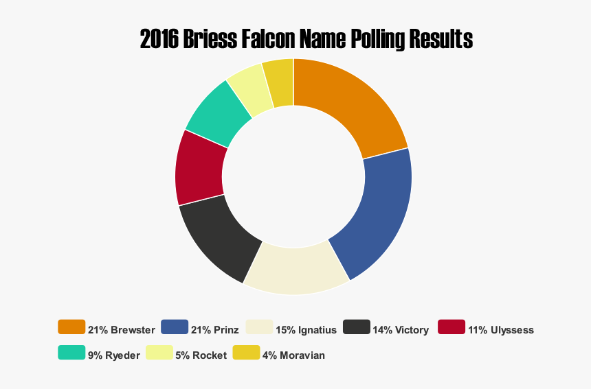 Briess 2016falconnamingcontest Results - Circle, HD Png Download