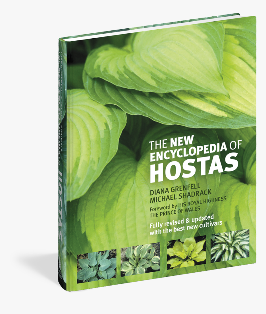 Transparent Hosta Png - The New Encyclopedia Of Hostas, Png Download