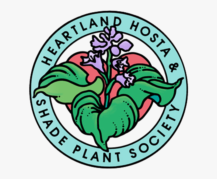 Heartland Hosta & Shade Plant Society - St Francis Of Assisi Catholic Academy, HD Png Download