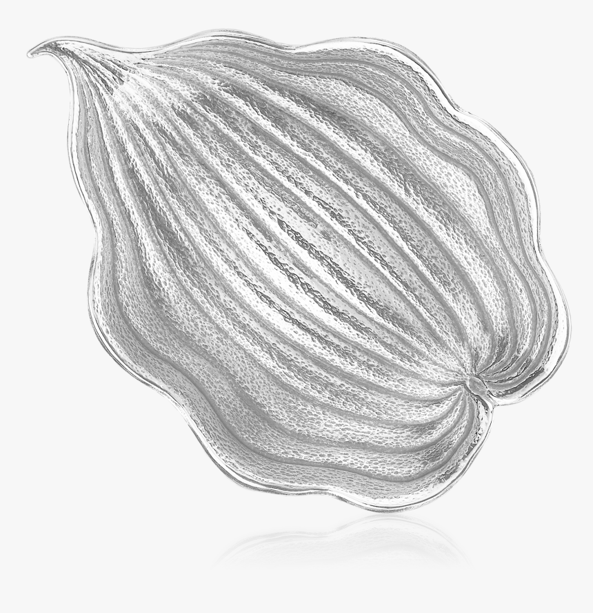 Buccellati - Bowls - Hosta - Bowls - Sketch, HD Png Download