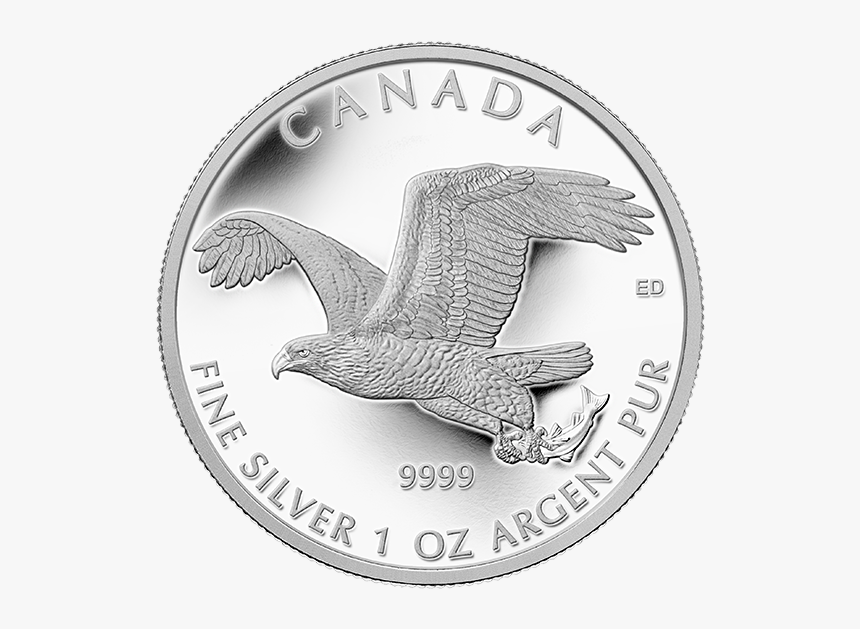 130580 Rev-570[1] - Coin, HD Png Download