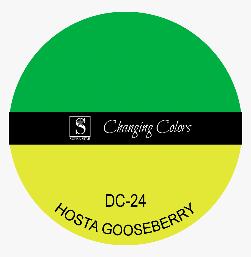 Circle, HD Png Download