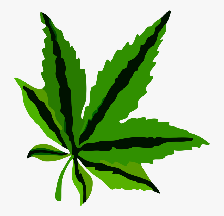 Plant,leaf,hemp Family - Leaf Pdf, HD Png Download