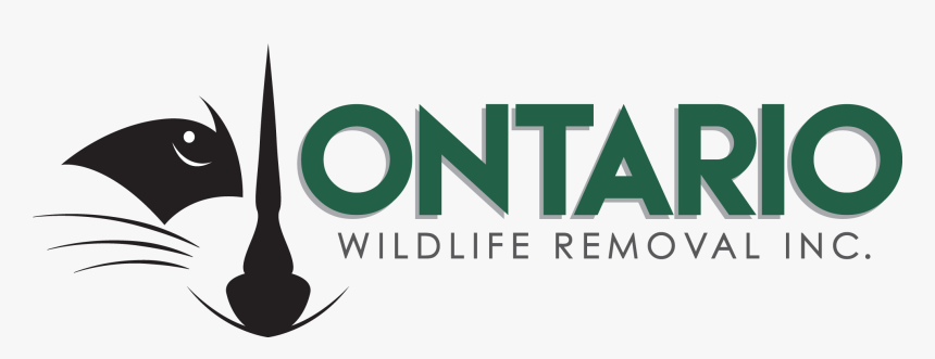 Ontario Wildlife Removal - Graphic Design, HD Png Download