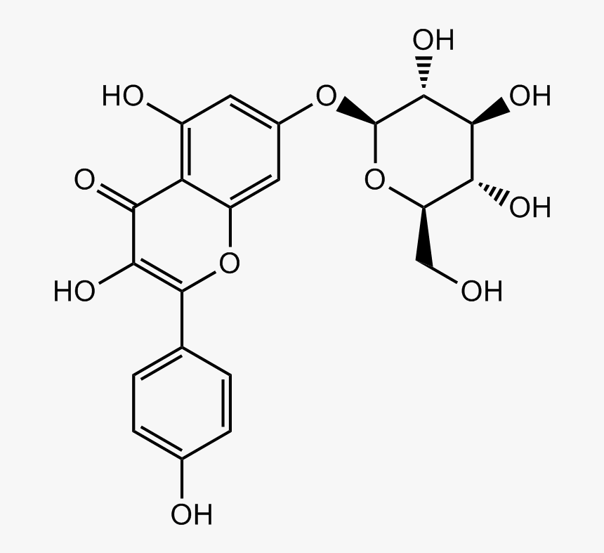 Peroxy Benzoyl Nitrate, HD Png Download