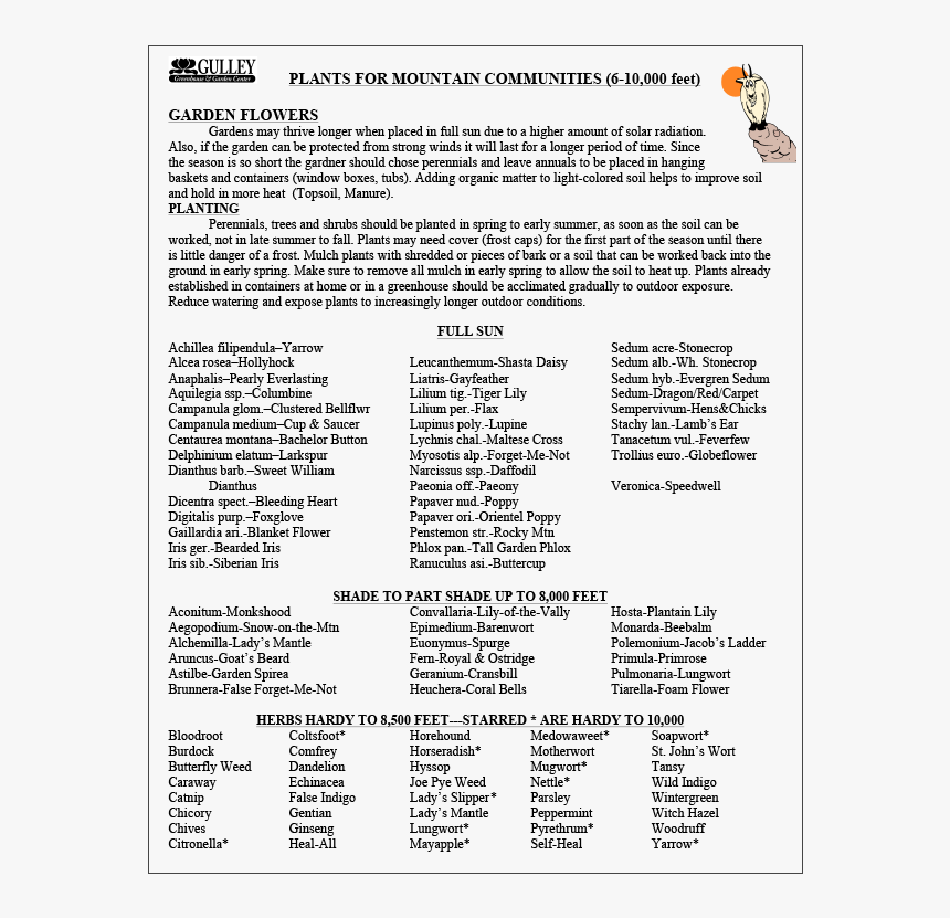 Screenshot, HD Png Download
