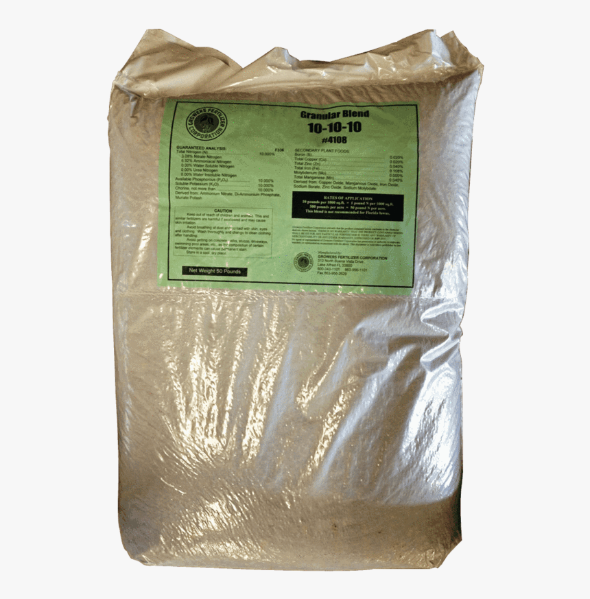 Seed, HD Png Download