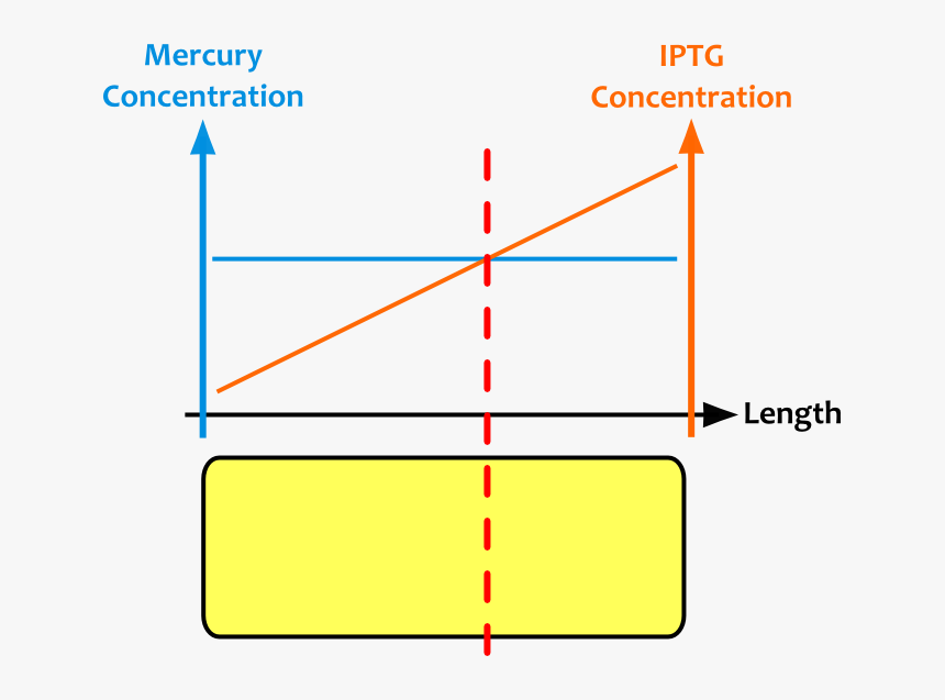 Diagram, HD Png Download