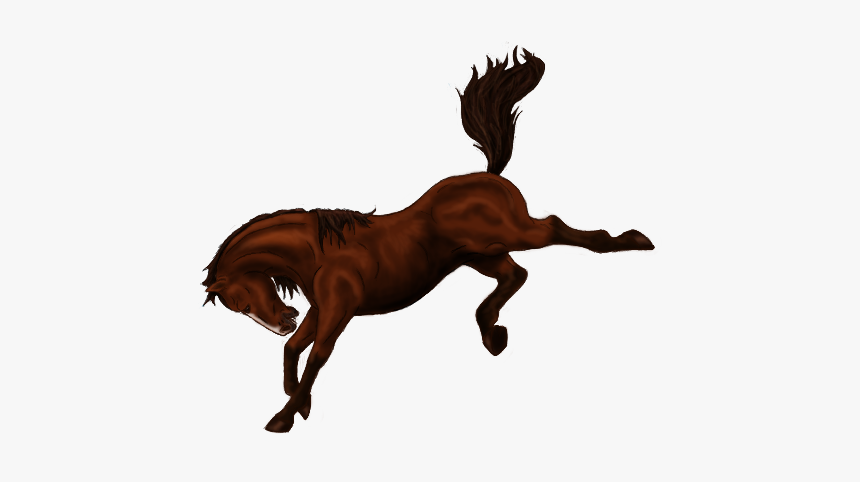 Horse Bucking Stallion Bronco Mane - Bucking Horse Cartoon Png, Transparent Png