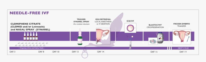 Needle-free Ivf - Ivf Process Needles, HD Png Download