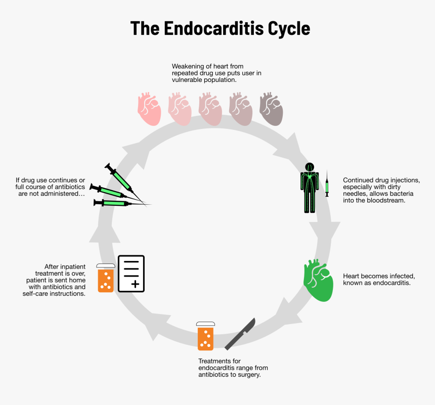 Diagram, HD Png Download