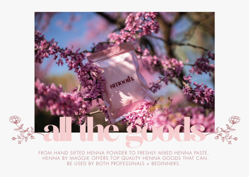 Shop - Cherry Blossom, HD Png Download