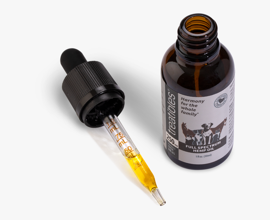 Calligraphy, HD Png Download