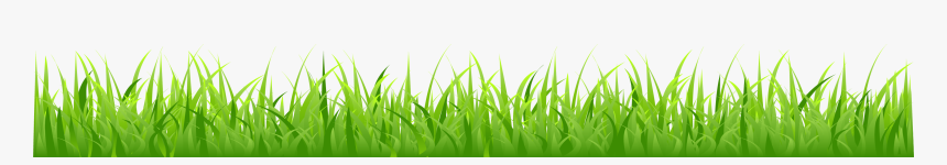 Grass Png, Transparent Png
