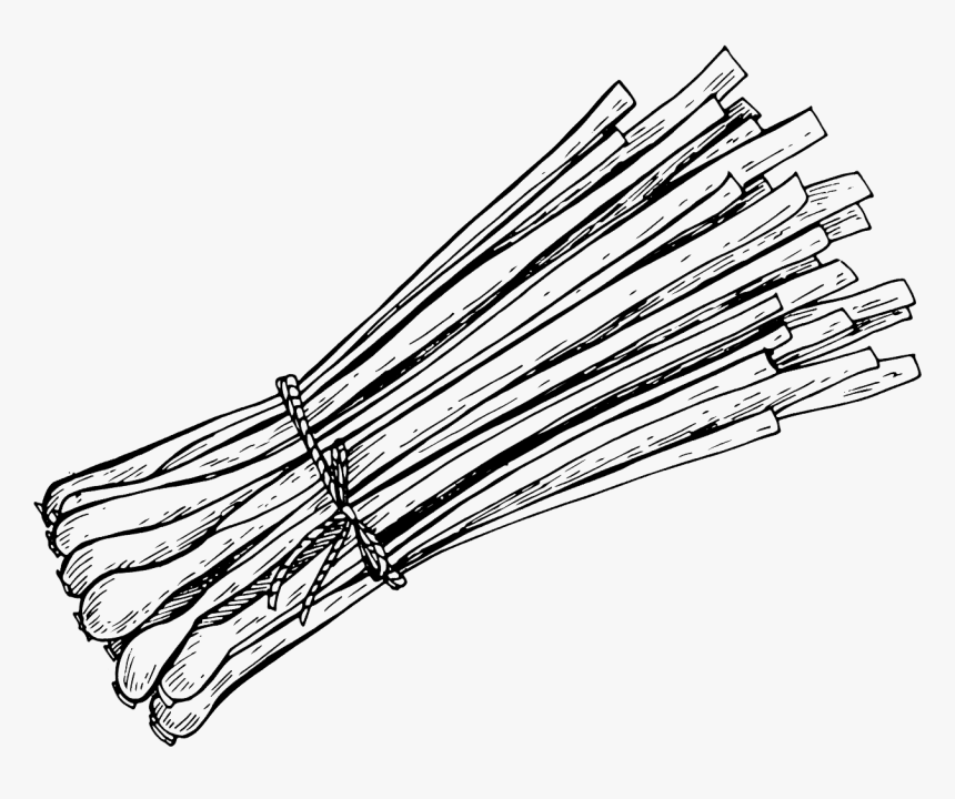 Lemongrass Png Ginger Lemongrass Art Lemon Grass Sketch Png Transparent Png Transparent Png Image Pngitem