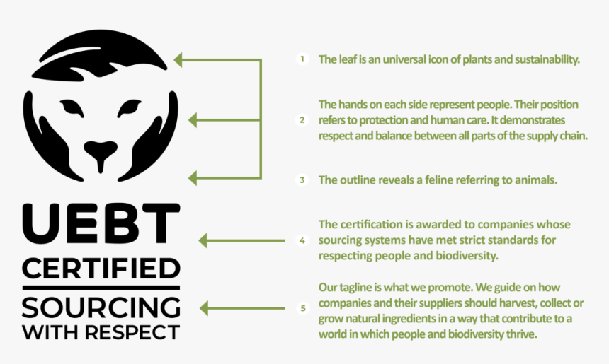 Labelexplanation3 - Uebt Logo, HD Png Download