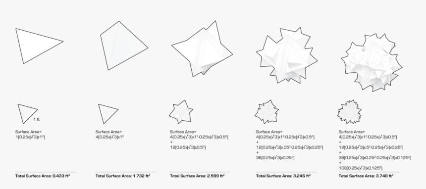 Maple Leaf, HD Png Download