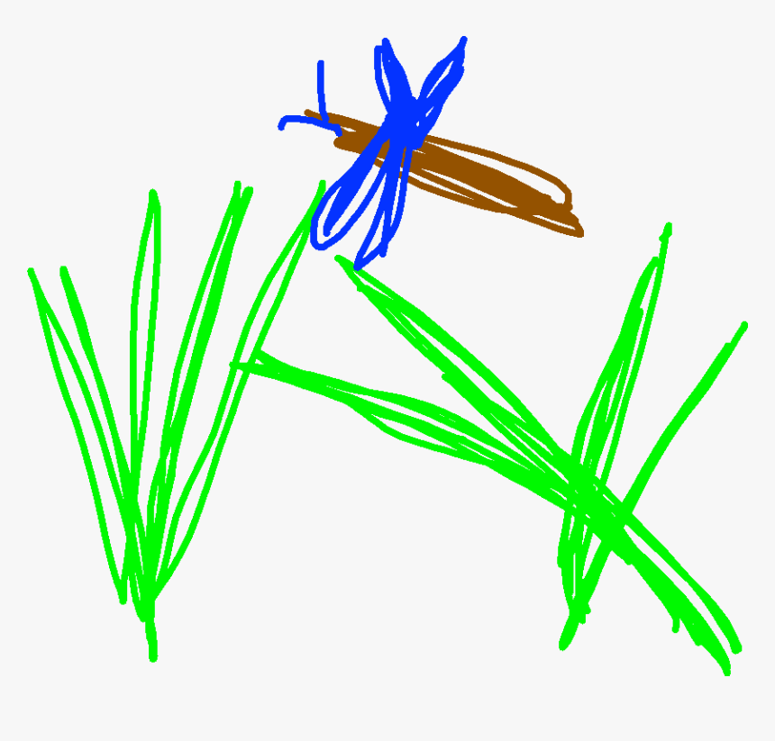 Transparent Grass Drawing Png - Illustration, Png Download