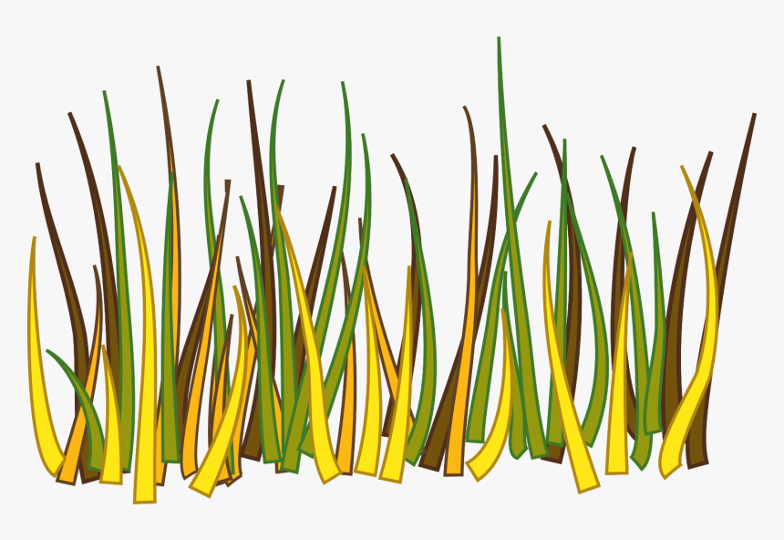 Transparent Vegetation Clipart - Big Grass Drawing, HD Png Download