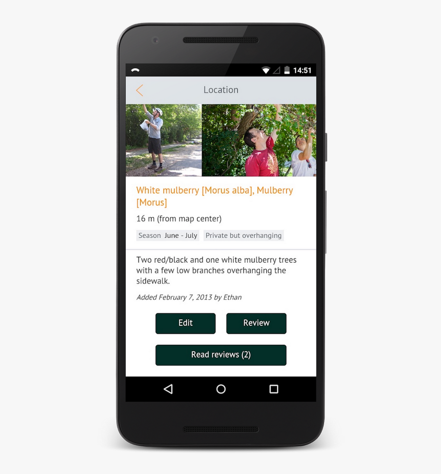 Falling Fruit Framed - Iphone, HD Png Download