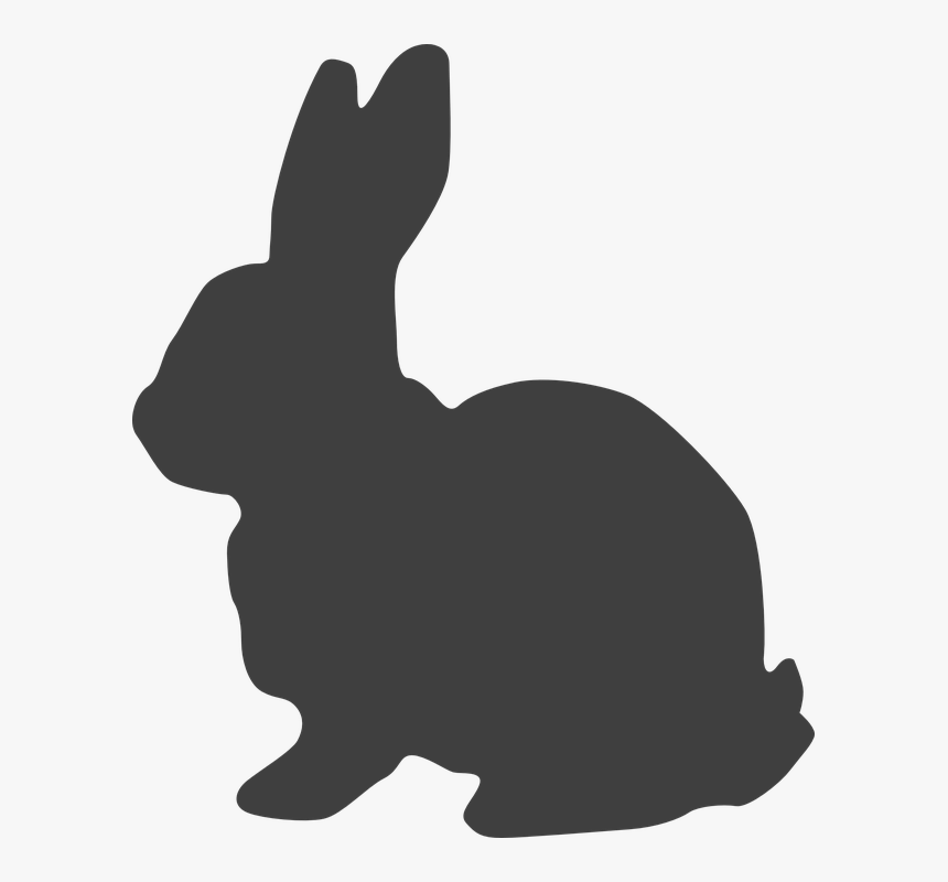 Rabbit, Hare, Bunny, Easter Bunny, Cottontail - Black Bunny Clip Art, HD Png Download
