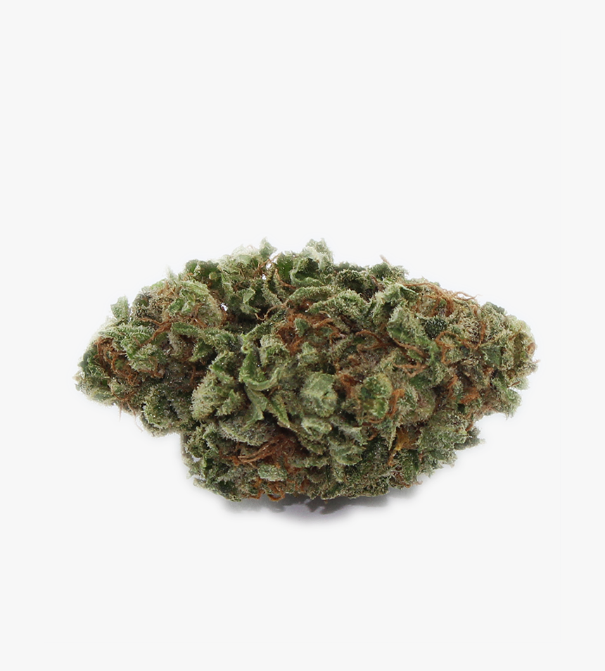 Moss, HD Png Download