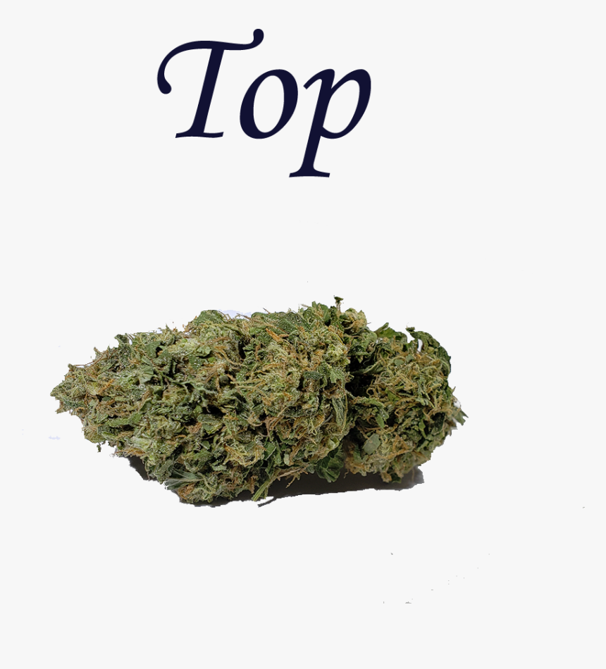 Transparent Kush Png - Logo Topolina, Png Download