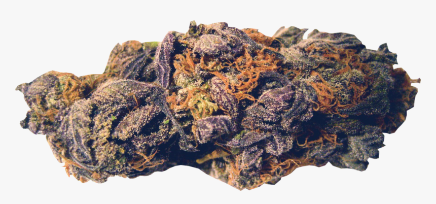 Purple Kush, HD Png Download
