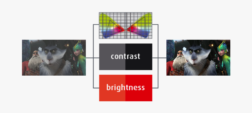 Domestic Short-haired Cat, HD Png Download