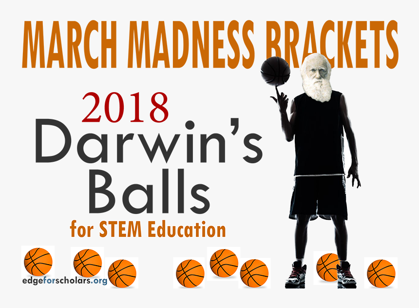 Streetball, HD Png Download