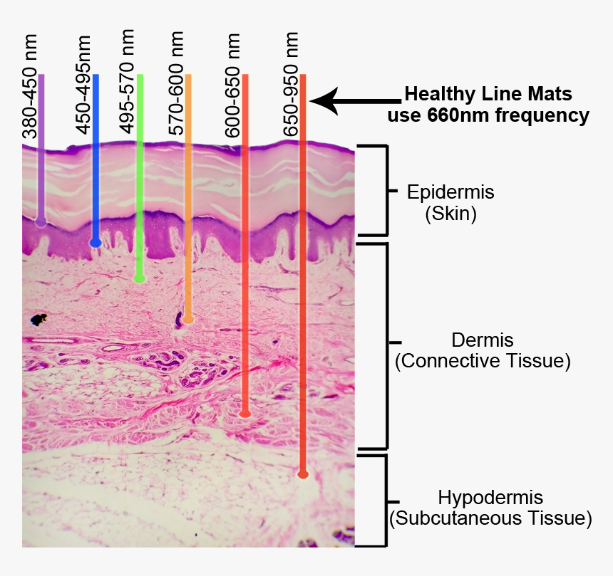 Graphic Design, HD Png Download
