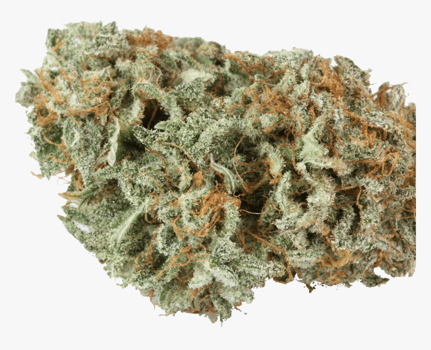 Master Kush Strain , Png Download - Master Kush Nirvana Outdoors, Transparent Png