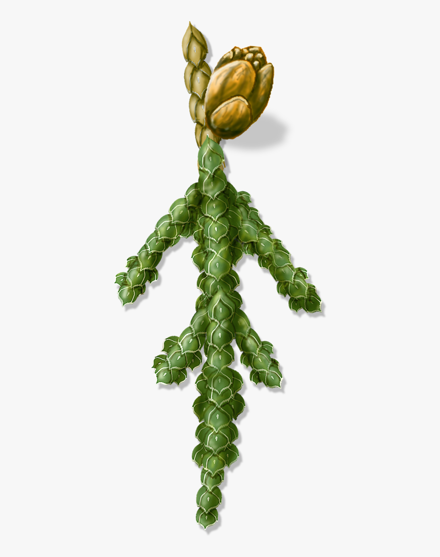 Pond Pine, HD Png Download