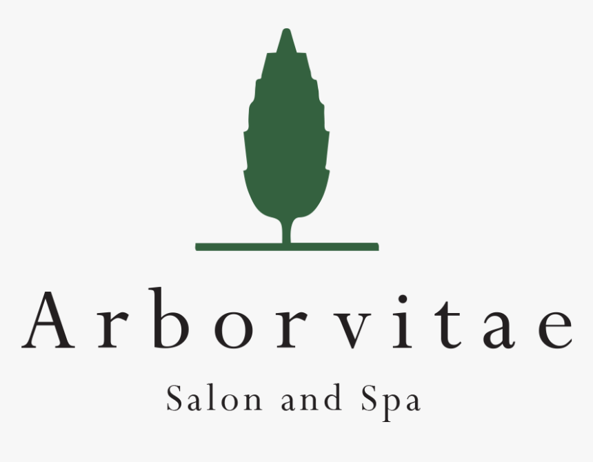 Arborvitae Png, Transparent Png