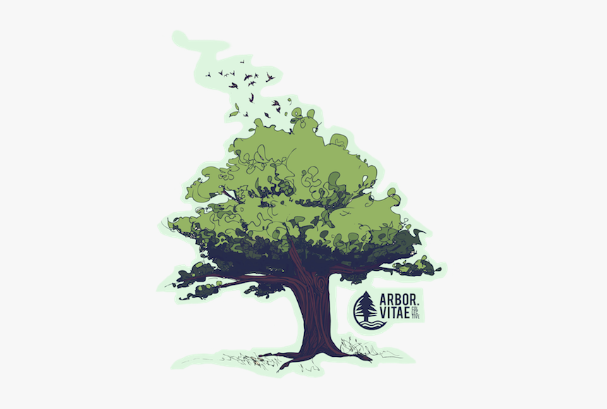 Arbor Vitae Ii Branding Band Logo Illustration Tree - Oak, HD Png Download