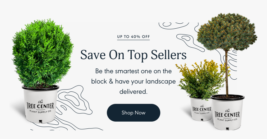 Flowerpot, HD Png Download