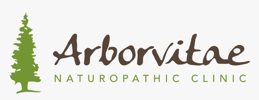 Logo - Calligraphy, HD Png Download