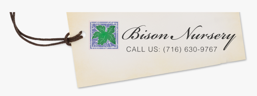 Bison Nursery Logo - Label, HD Png Download