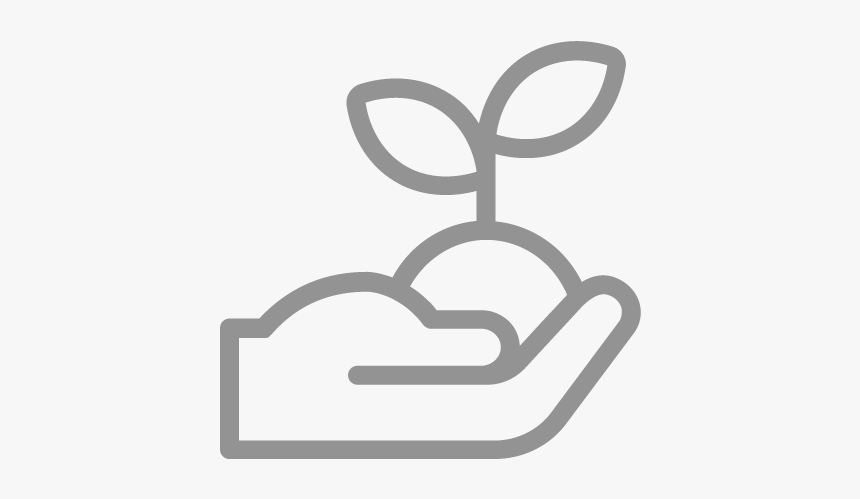 Sprout Seed Icon Grey, HD Png Download