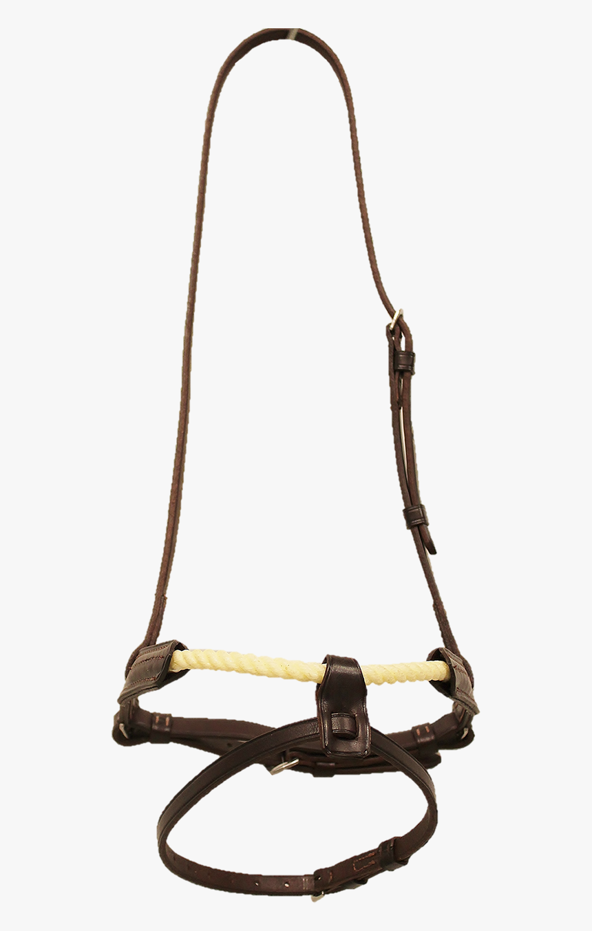 Rope Cavesson Noseband, HD Png Download