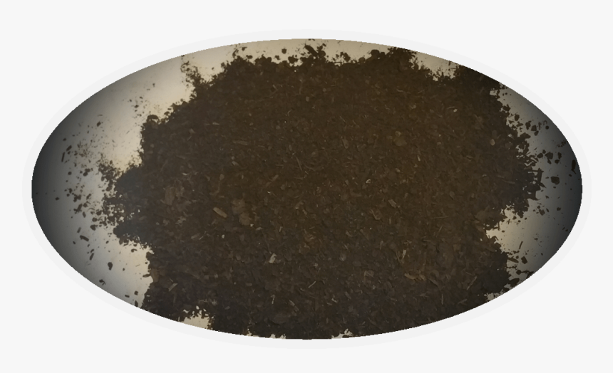 Chocolate Cake, HD Png Download