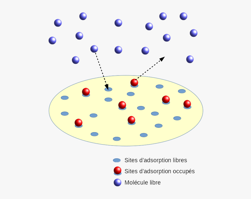 Principe Isotherme Langmuir - Adsorption Principe, HD Png Download