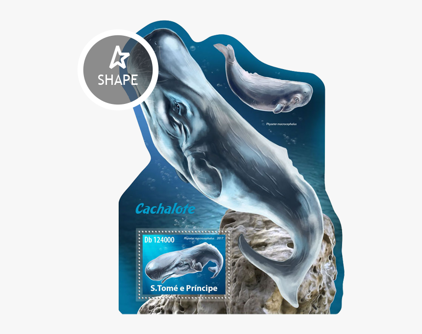 Issue Of Sao Tome And Principe Postage Stamps - Common Bottlenose Dolphin, HD Png Download